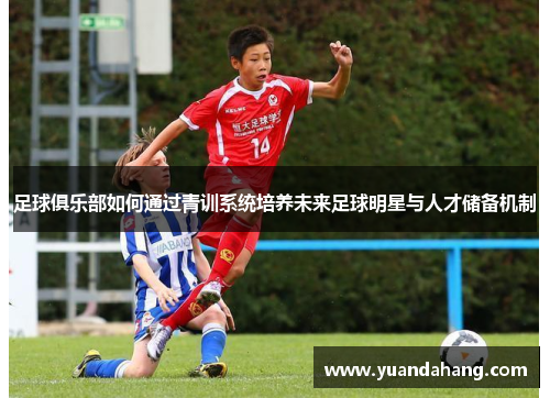 足球俱乐部如何通过青训系统培养未来足球明星与人才储备机制