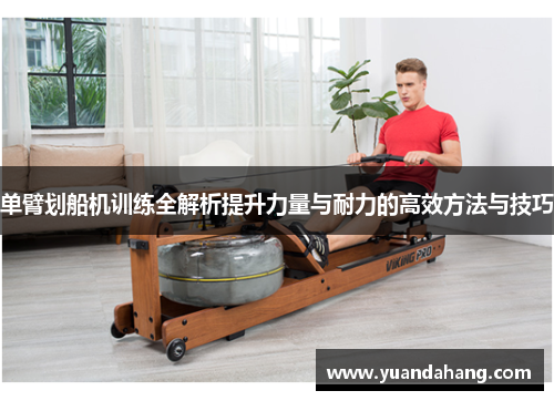 单臂划船机训练全解析提升力量与耐力的高效方法与技巧