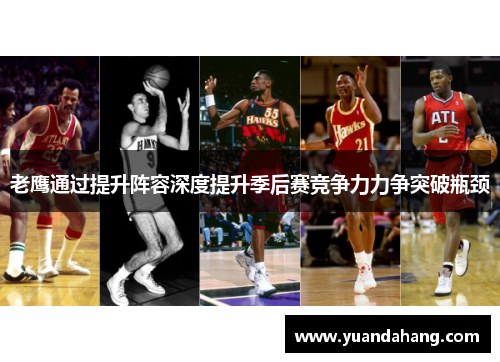 老鹰通过提升阵容深度提升季后赛竞争力力争突破瓶颈