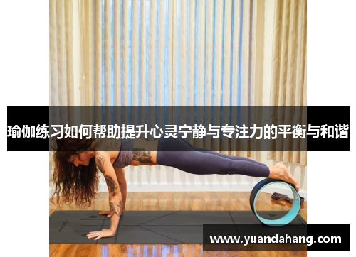 瑜伽练习如何帮助提升心灵宁静与专注力的平衡与和谐