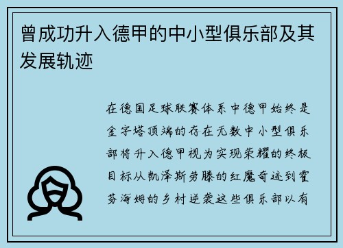 曾成功升入德甲的中小型俱乐部及其发展轨迹