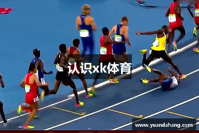 认识xk体育